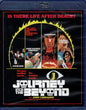 Journey Into the Beyond (1975) BD